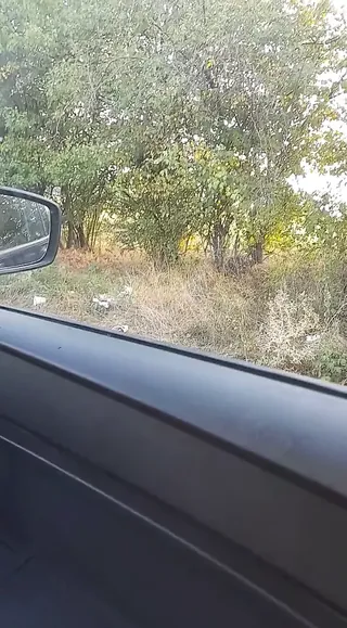 /beam/67a861e4cc498f247e8155ee