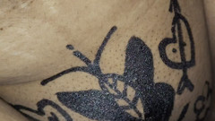 Butterfly drawing sex