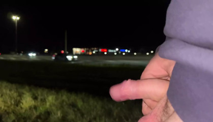 Dickflash to many Cars on the highway