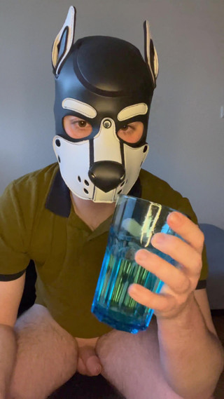 Puppy (Pupplay) drinks his own piss and then his load