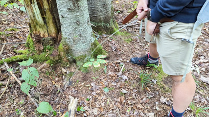 Piss in the woods