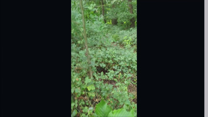 Cumshot quickly in the forest