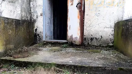 /beam/67a862ddcc498f247e8d65d3