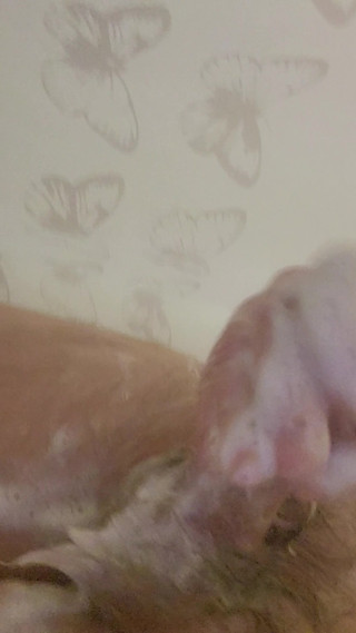 Bathroom shower fun