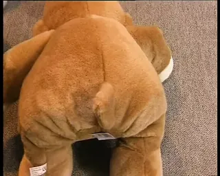 /beam/67a861a7cc498f247e7e7e74