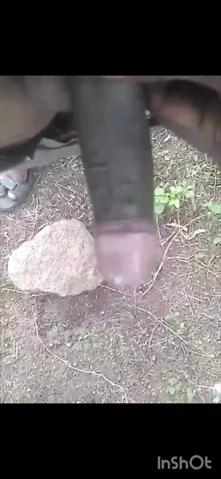 Open are open cock
