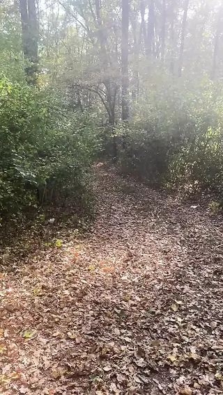 /beam/67a86308cc498f247e8f6dbc