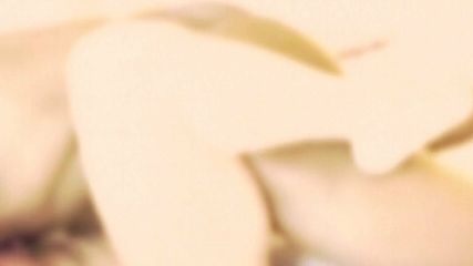 /beam/67a86143cc498f247e78e4d8