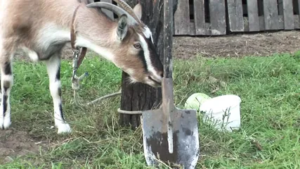 /beam/67a86237cc498f247e8567a7