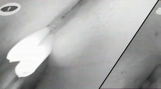 /beam/166332