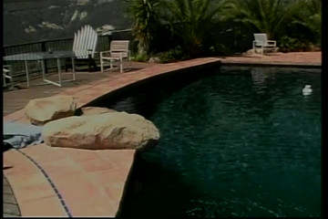 Platinum blonde MILF fucked wildly by the pool