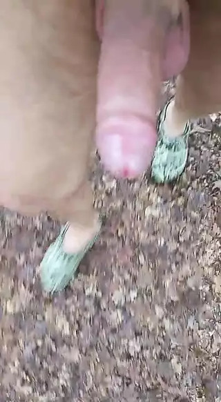 spaziergang im Wald