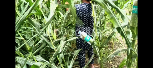 Motor Te Bola Sex Keta Punjabi Thinks Dave