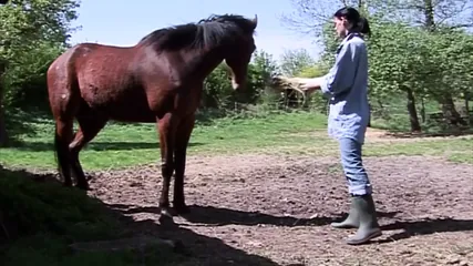 /beam/67a8632ecc498f247e916426