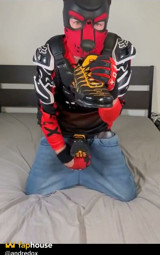 Sneakers Puppy! Nike Tn