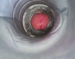 /beam/67a86183cc498f247e7c99aa