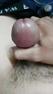 Tinira c pamangkin 