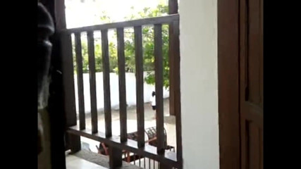 FLASHING VIDEO 3