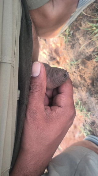 Small land black Masterbate masterbating finger
