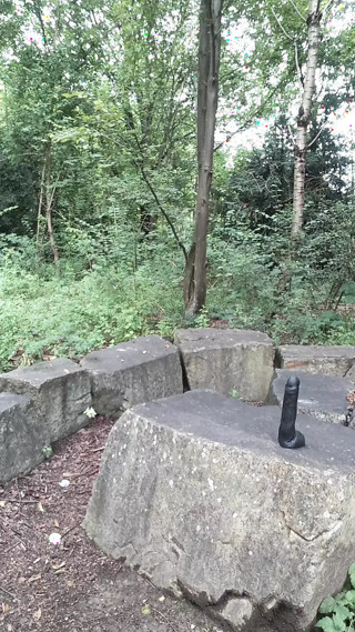 Picnic fuck