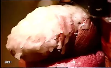 /beam/67a86378cc498f247e952822