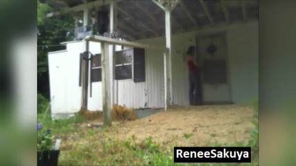 /beam/69635bd13f0d81077a3f842e