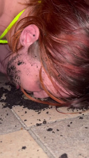 Mud, Licking Shoe, Toilet Washing