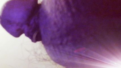 /beam/67a86032cc498f247e68b2dc