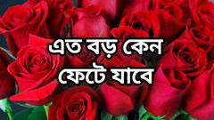 Bangla choti golpo full story in Bangla audio choto golpo beautiful mature saree chachi cheating hasband full story in Bangla