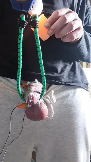 Tens milking
