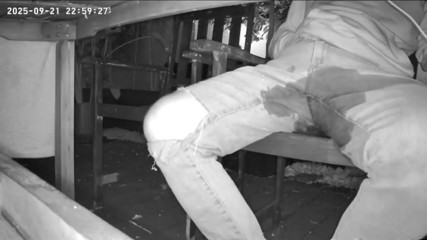 Amateur Boy Caught on Night Vision Cam Peeing Himself Sitting at the Garden Table (he Totally Wets His Pants) )