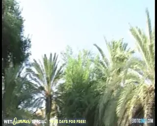 /beam/67a86324cc498f247e90d8b9