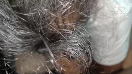 Indian Telugu partners exlent faking with hor hasbend