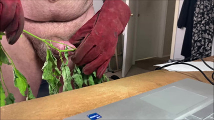 Stinging Nettles CBT, Stinging Nettles, CBT, Stinging Nettles on Cock, Stinging Nettles on Balls