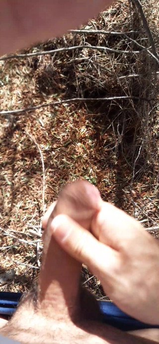 Pee and straw without clothes in grove