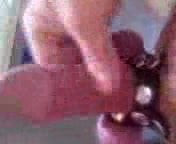 Cocks Milking