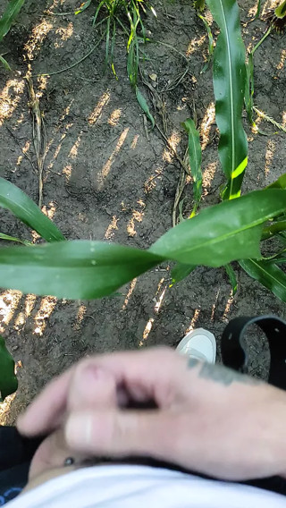 the farmer's wife asked to inject extra vitamin in the corn field,he was a bit shy