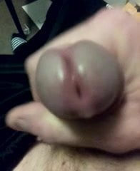 My young dick