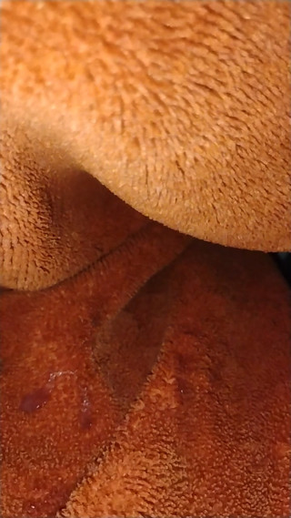 Hot shot in the blanket