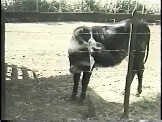 /beam/67a862c5cc498f247e8c2d5d