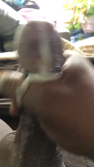 Huge load for BBC
