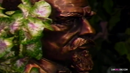 Hot Desire Chronicles