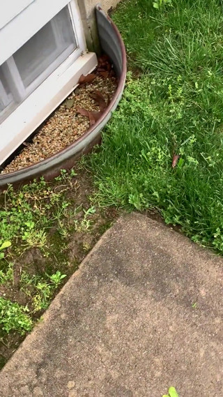 Caught Masturbating by BF