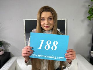 /beam/67a860bacc498f247e7105b5