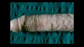 /beam/67a85db5cc498f247e3eeda0