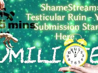 Shamestream: Testicular Ruin - Your Submission Starts Here