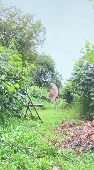 Pissing and jerking off in the garden
