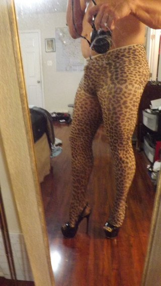 Leopard legs make me want to beg