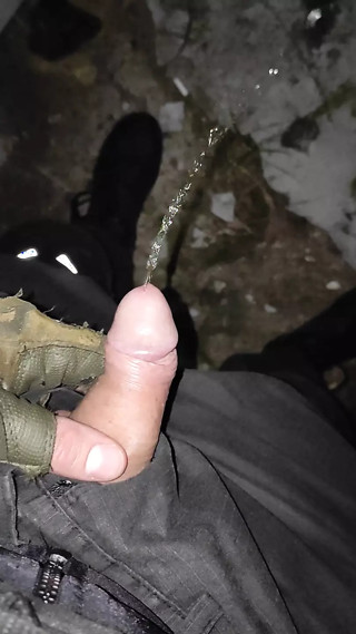 Pissing diary's