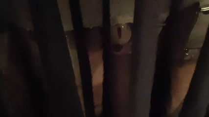 Chastity maid Sex